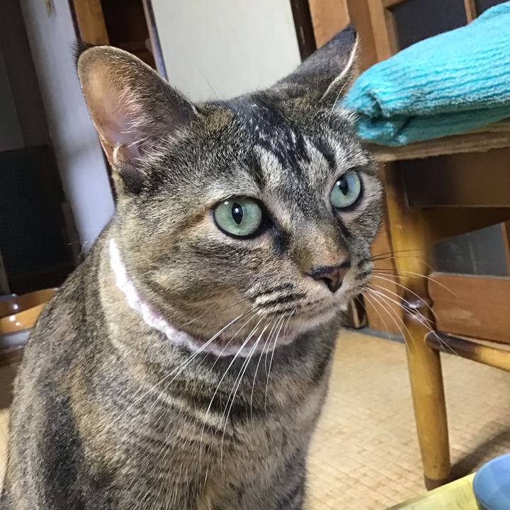 7ab076ef cf54 4714 8ebc 038e79c41b98 1696144185740