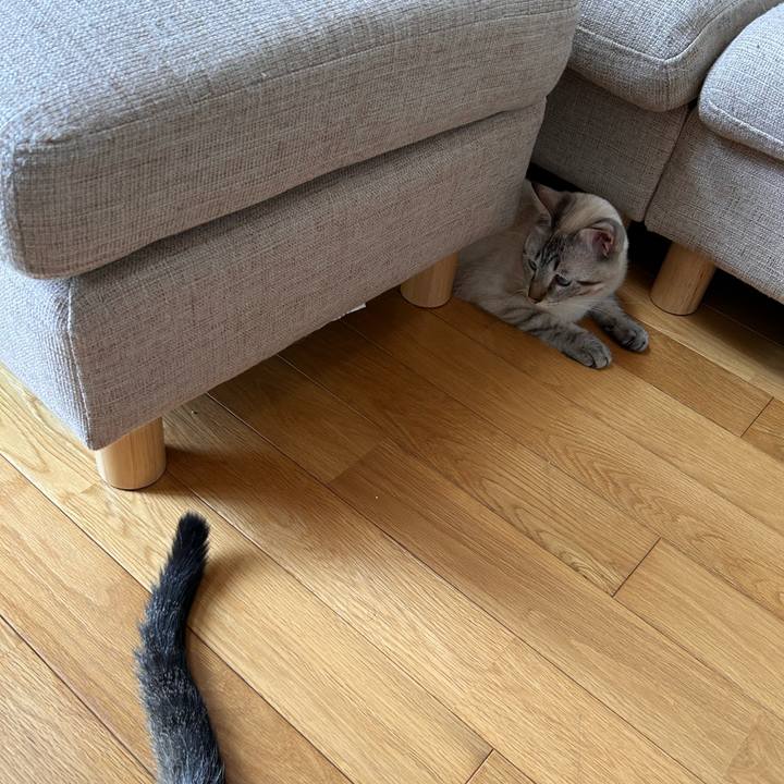 7ab090fe ab50 46db 9868 b5c48900fce9 1753144282641