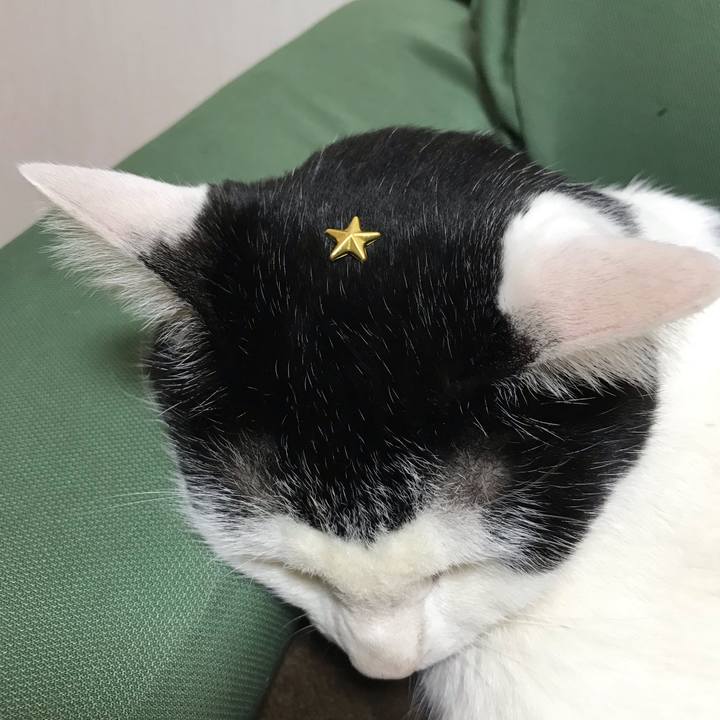 7ab098af 10ba 4691 99c6 e9e864b95c5a 1552314097911