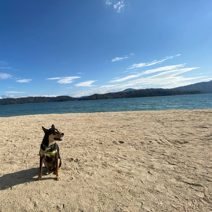 7ab0de64 d831 4fa6 94fc 12f86134f9e0 1606052286750