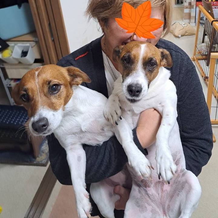 7ab0df61 54ad 4c72 a1aa 8c2fcc19bfbb 1762257510553