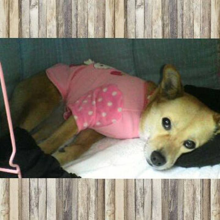 7ab0f396 bd75 4a33 8ef6 ee9509728634 1518860764238