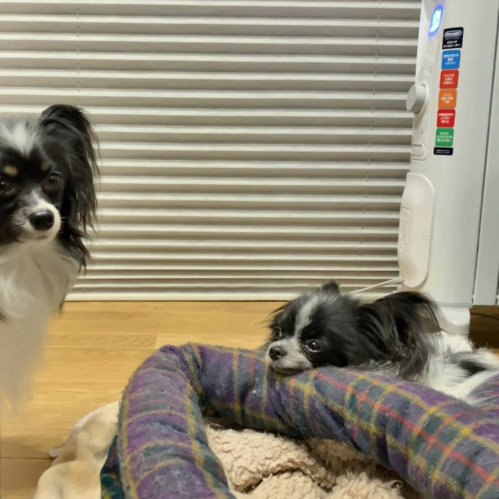 7ab11002 2d38 4ce7 b5db 40dd53afc27c 1547640792524