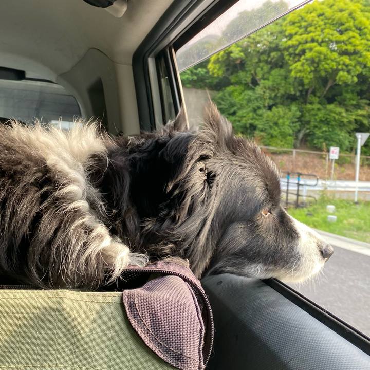 7ab123fc 1d08 4f6f 8b68 ef00bf597b7d 1652911634041