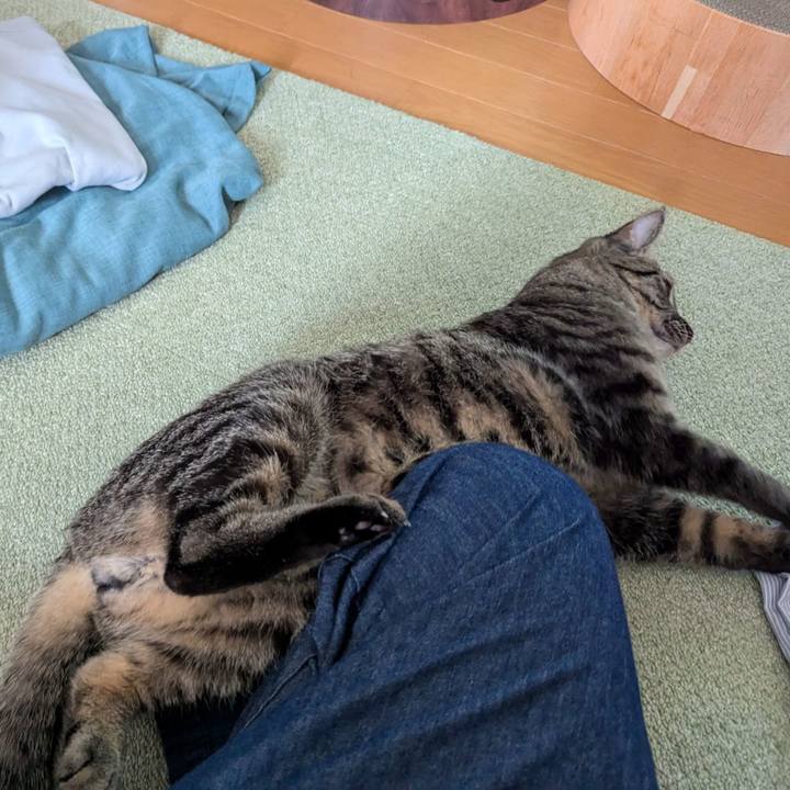 7ab142e5 6def 41bb bd16 208f8561fb6a 1722237268479