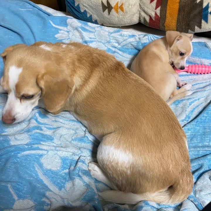 7ab1c7f4 3714 4152 b5a6 0a97ea6b29a6 1661667208238