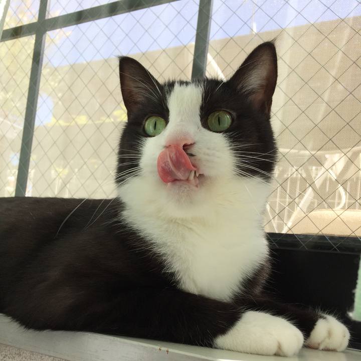 7ab20cd9 d0b3 4d49 ac16 5724c6e7683f 1508731507700