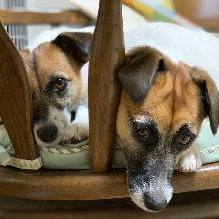 7ab21d21 634c 4467 a62d 125bb354200a 1571666896505