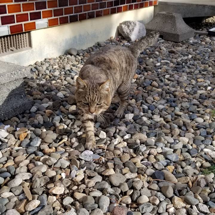 7ab23786 a815 4619 944b 470ba07c7fb8 1637808457332