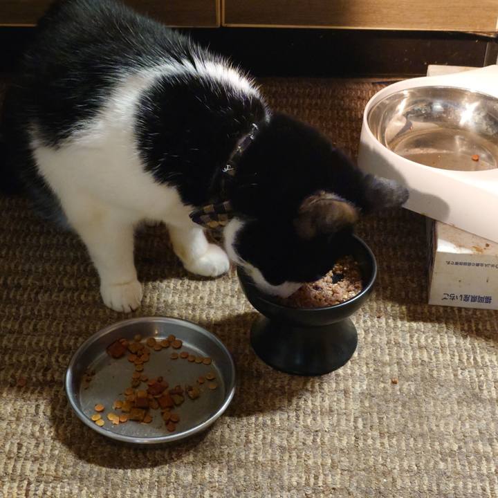 7ab2487e 0b0d 4694 abf1 0f5815b6bb86 1763034850599