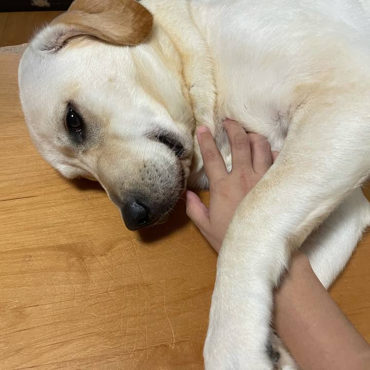 7ab257e0 cf3d 4fe6 a715 443c35a1ff50 1632666122691