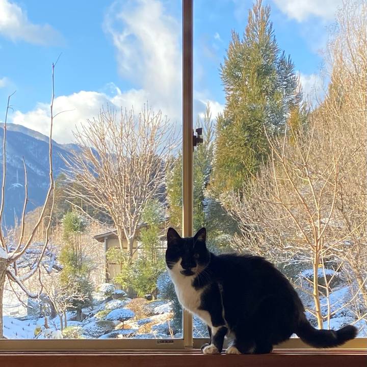 7ab28985 b073 46c7 9689 55f07890fda1 1672719416010