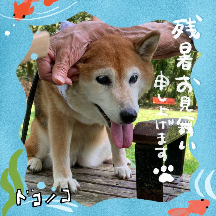 7ab2ae21 3790 4c09 803c bb4782a68627 1723256299712