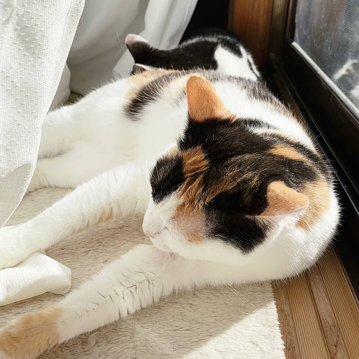 7ab2cf2d 6611 47bb 8413 d4a0a50f3310 1554950493400