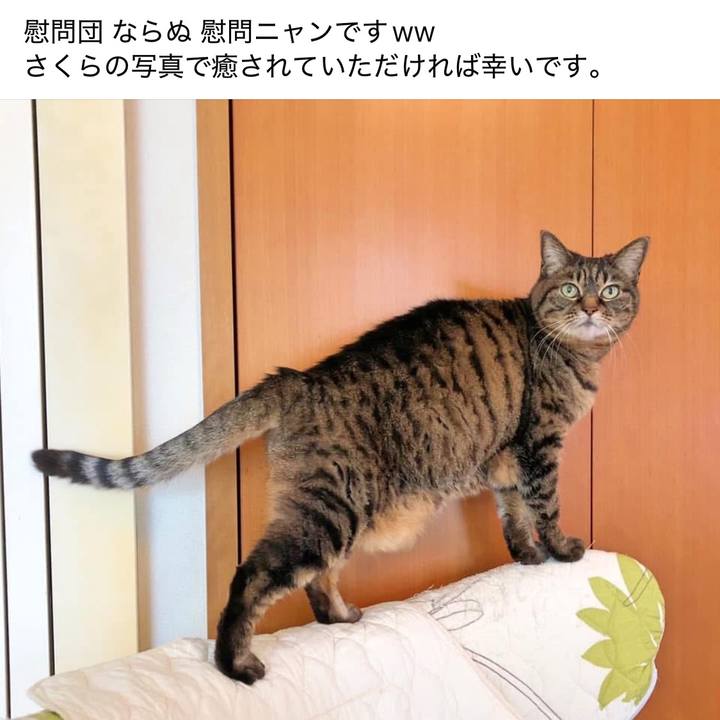 7ab2df75 b93d 4494 b4e4 5e1489455a6a 1776217107447