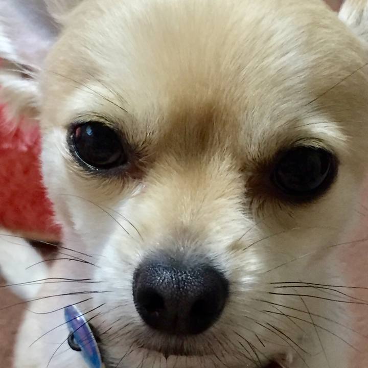 7ab2ebea f348 46a5 b7e6 93a08cf2f281 1524087561227