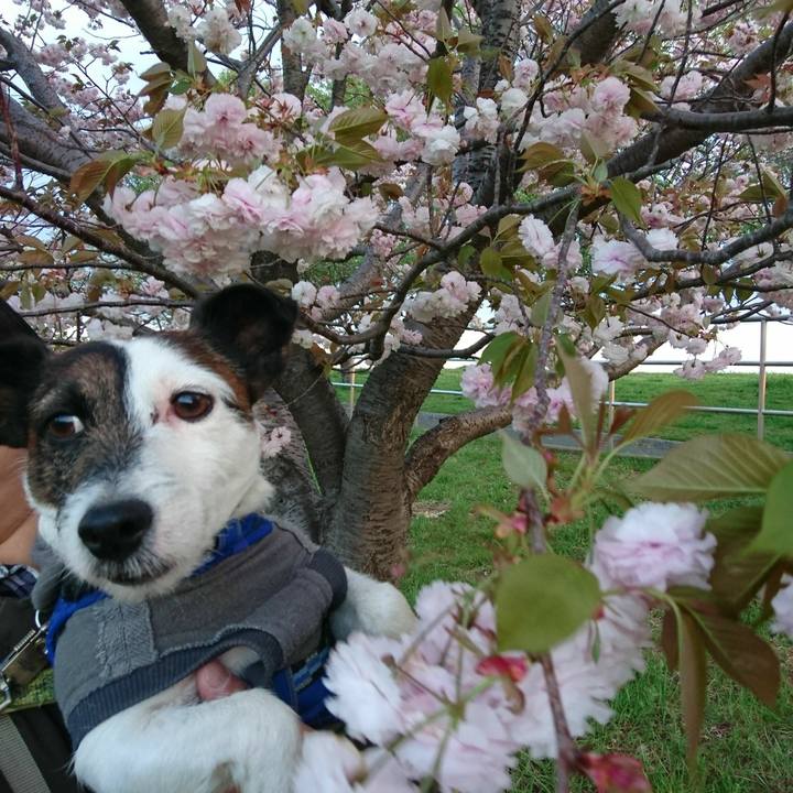 7ab2fca3 fac4 4535 9191 7276c0add325 1523177970783