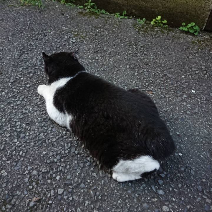 7ab2fee7 8093 43fd a1c1 a70dc712be02 1626427505922