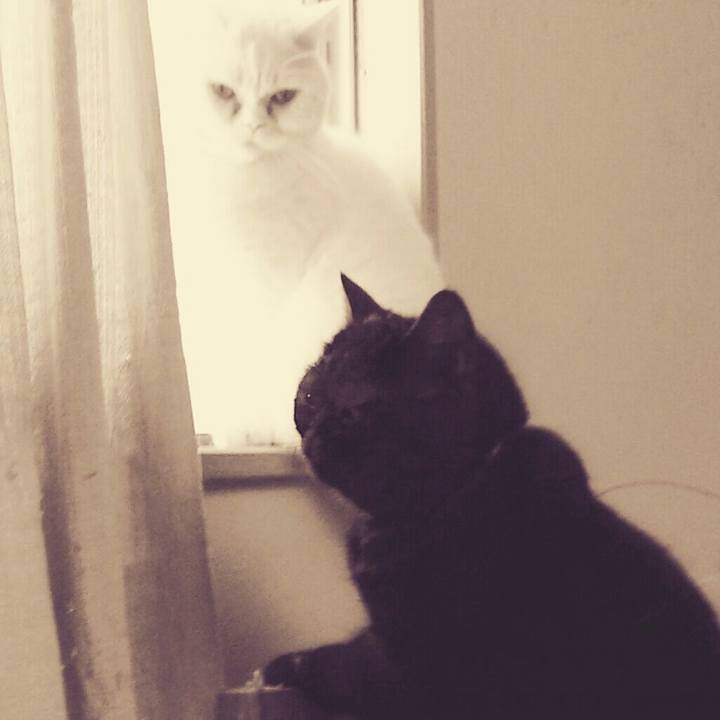 7ab30f53 ff23 482a b270 1c45d2df058f 1515198923509