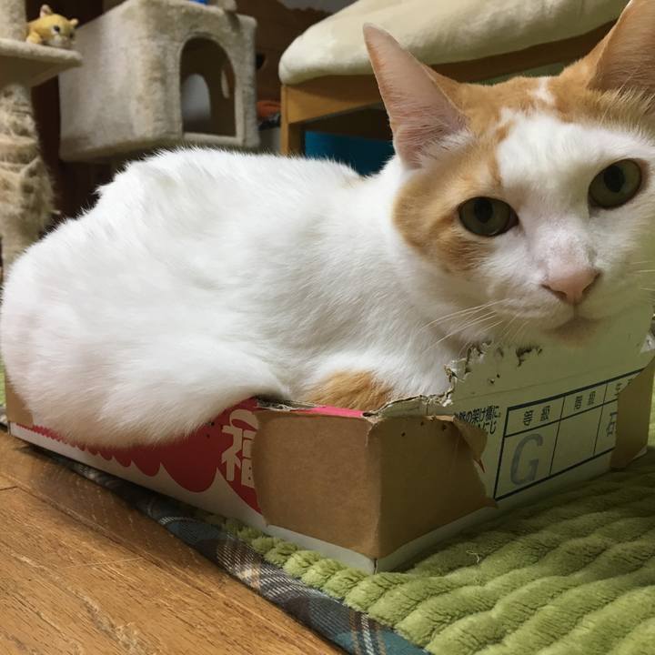 7ab333b7 23c7 4327 8da6 da2a1da5a40b 1553170646690