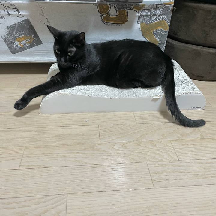 7ab3349c ee49 4799 9e38 a10423017469 1719748181041