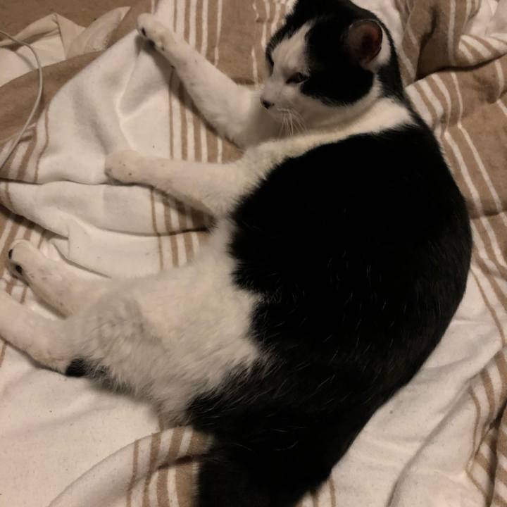 7ab36677 94b5 4500 b20d a7eb8c85d81c 1580235246164