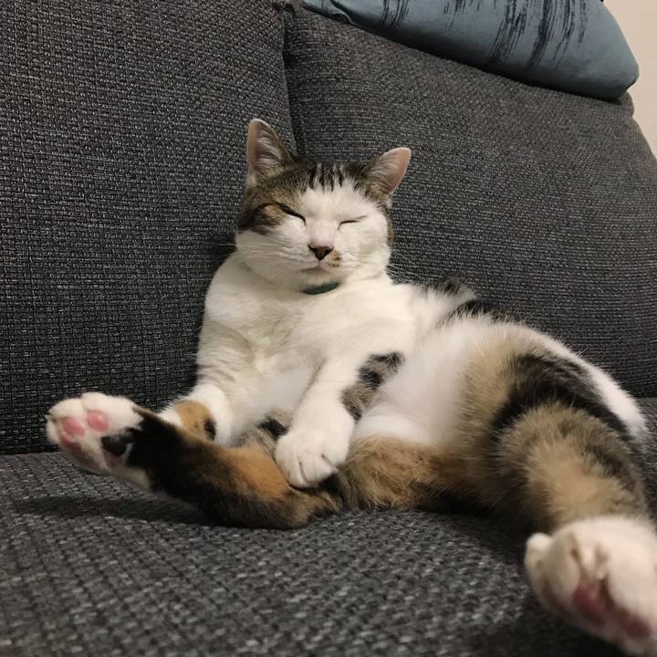 7ab385d8 4174 470b a29b b8ec83eec5be 1561449506315