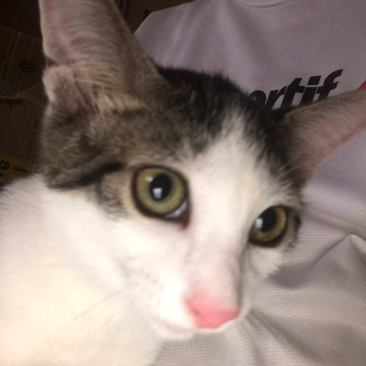 7ab3b22f 9776 4c07 b2cc 64c0d75ba6e9 1551146599630