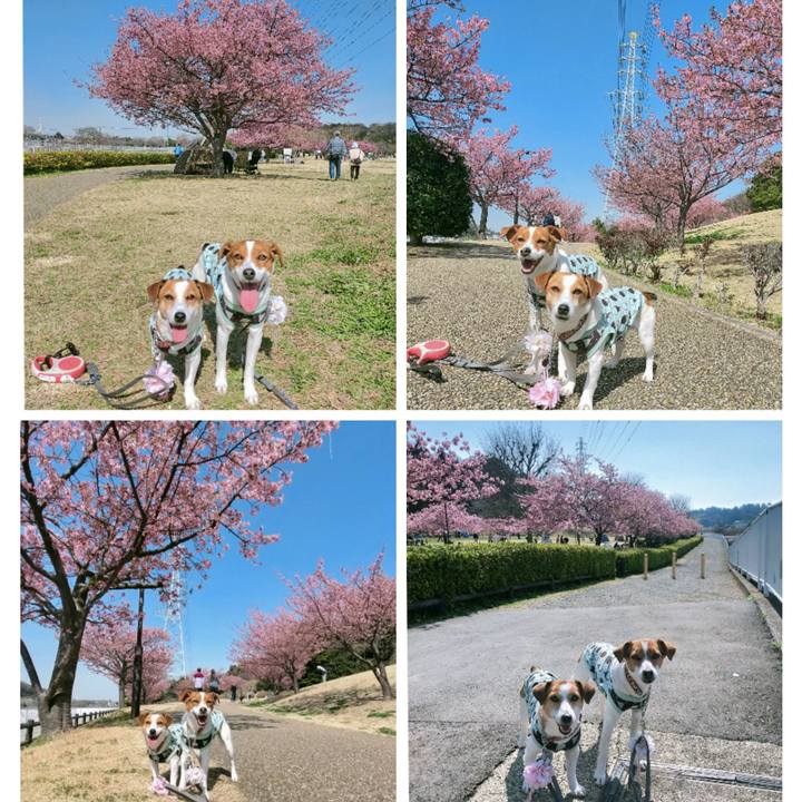 7ab4068e 173f 43f5 80b0 2d87db16c78c 1772263035351