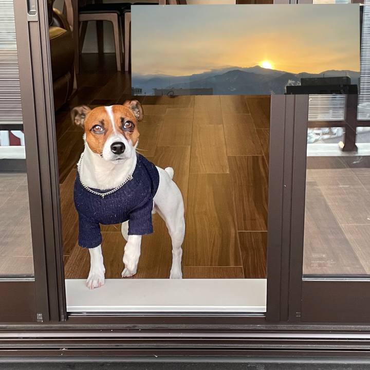 7ab40de3 902e 43d1 b45b 816e2d7c872b 1642032077746