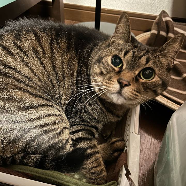 7ab4276c c13b 43bb 9513 a4e4bfdbd706 1683722717059