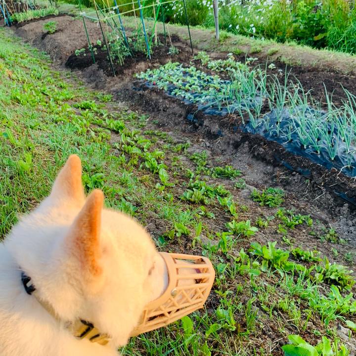 7ab45d72 f132 4cea 81c1 230a02232846 1623616775435