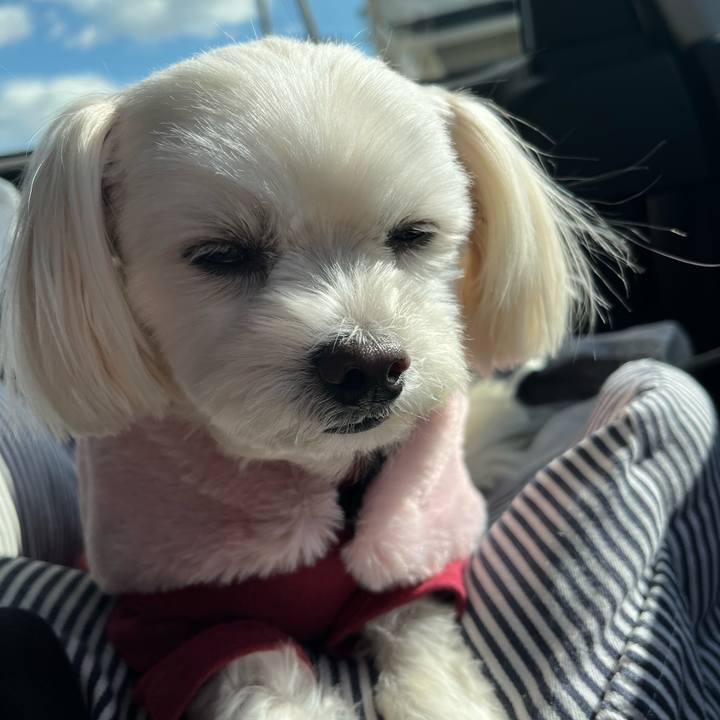 7ab47c74 fc66 4540 b9fc 3f2b3b2f34d5 1671075115272