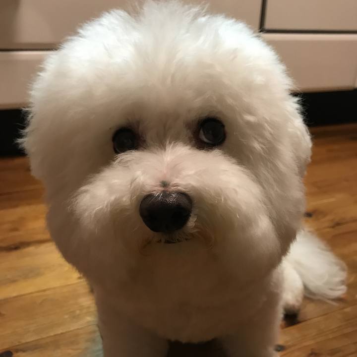 7ab4bcbb 6f66 4a6e 9373 a3a5b32428ab 1535016854178