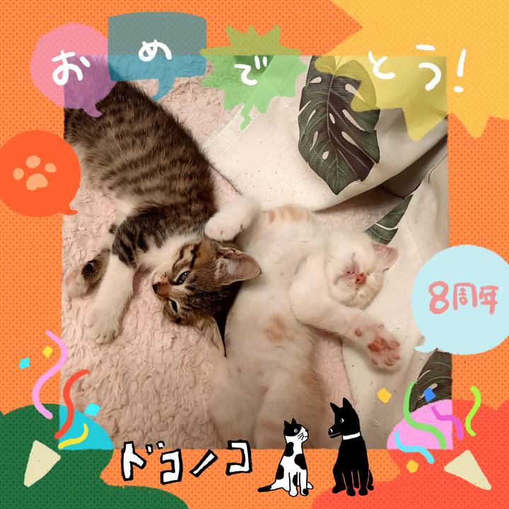 7ab539f0 6a1a 43dc bc4a 495eecb19c75 1717650493203