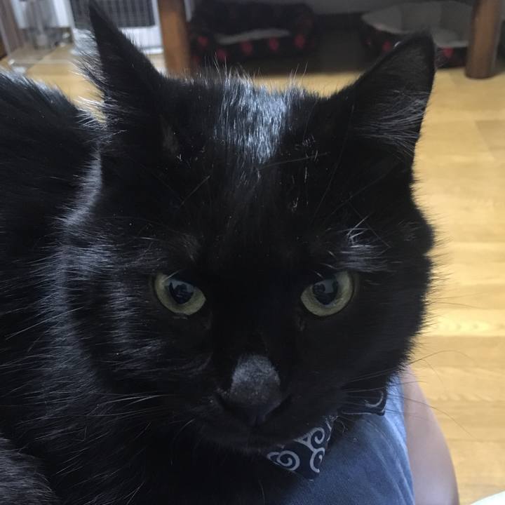 7ab53fa4 9f93 48c5 b43e e16093a088e8 1545132498290