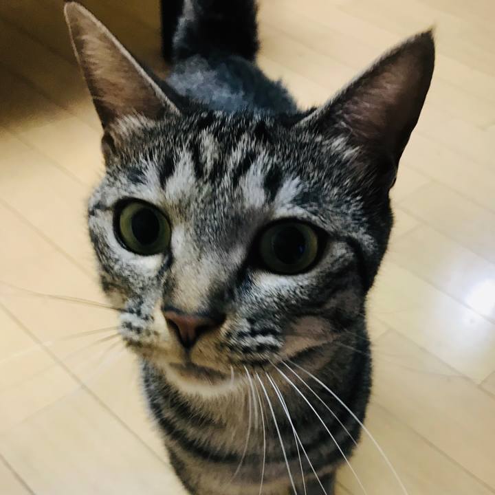 7ab56651 9445 4b3f b670 68f73cef5c18 1591100303631