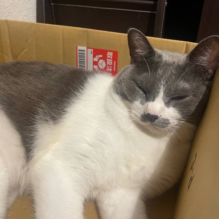 7ab569ab 9805 4fc9 b969 5de6ea3c6211 1633263362666