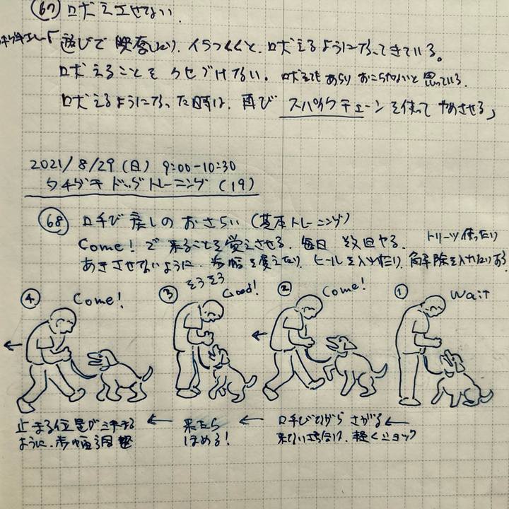 7ab57b1c caaf 47a2 8ff7 5044cf47caf6 1630223152431
