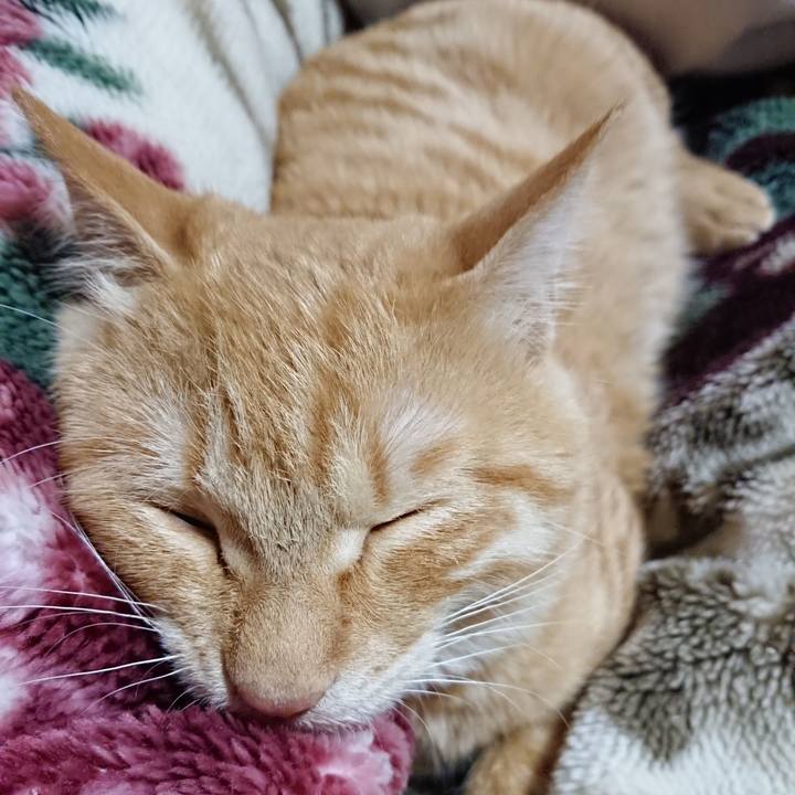 7ab58f1e 9a8f 489f ac4b 568d4f2d4aa9 1637496905998