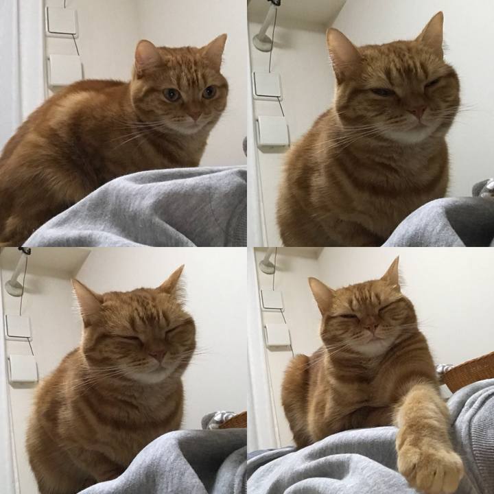 7ab5d28b e39b 4990 ab80 95caf2fc584f 1540545626120