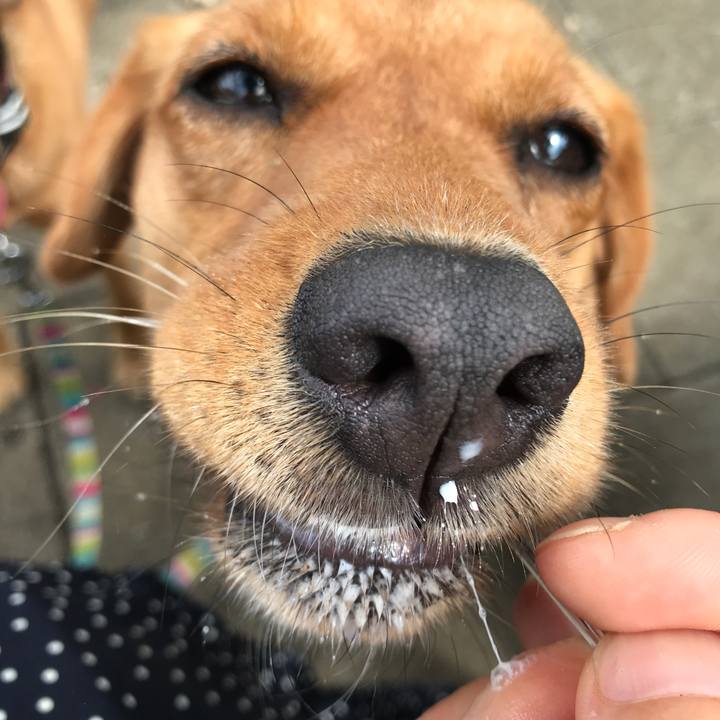 7ab5d35d a267 47ae 9917 3dd5a5fcea75 1532841479282