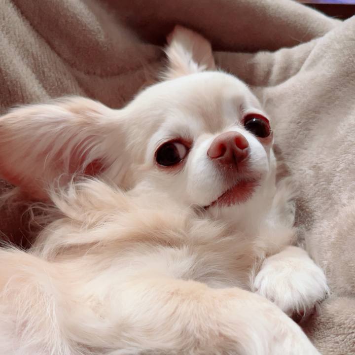 7ab5e231 56a1 4cd0 be4a 29e6be5dbc8a 1774613831536