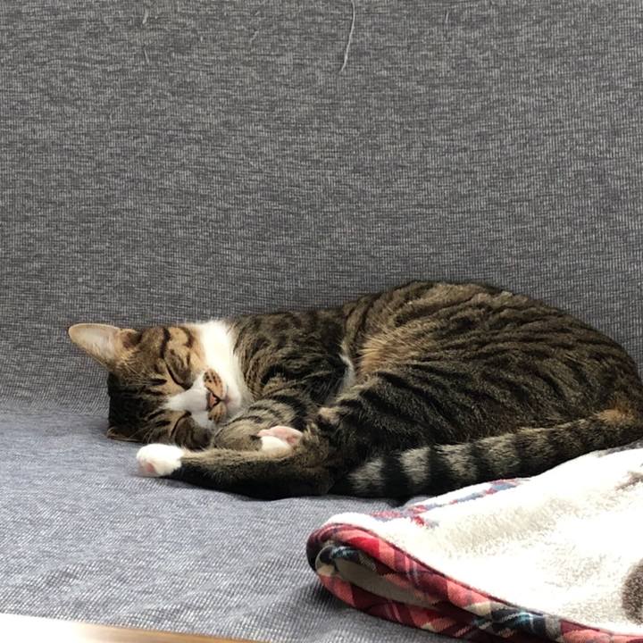 7ab5e662 f5bf 4e24 84b0 15f0bf7f2d98 1638962074349