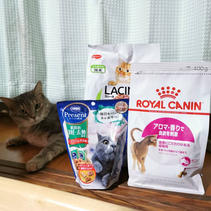 7ab62a0c bd0c 4027 a0d5 9cb8d6a19bb4 1625922180145