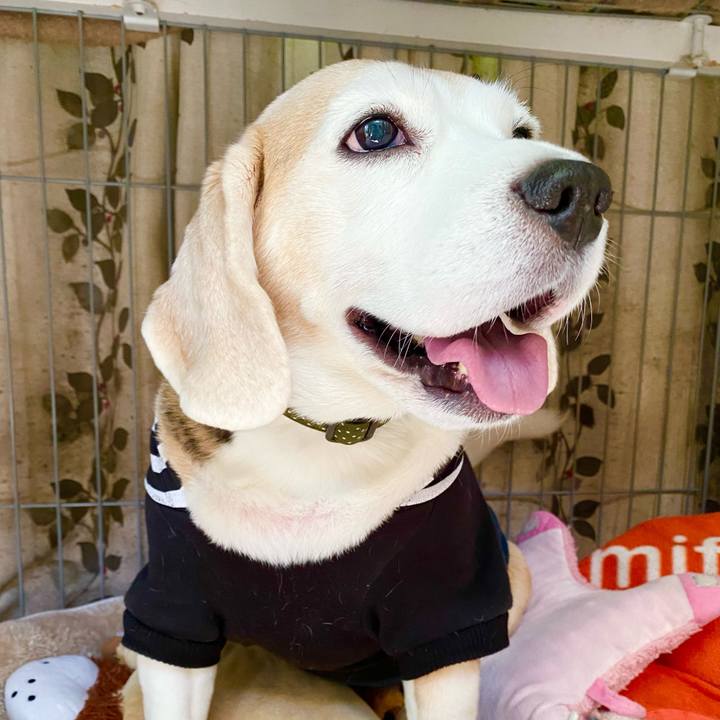 7ab64a1e f446 4eff 92c5 3d99c6b38996 1637726179134