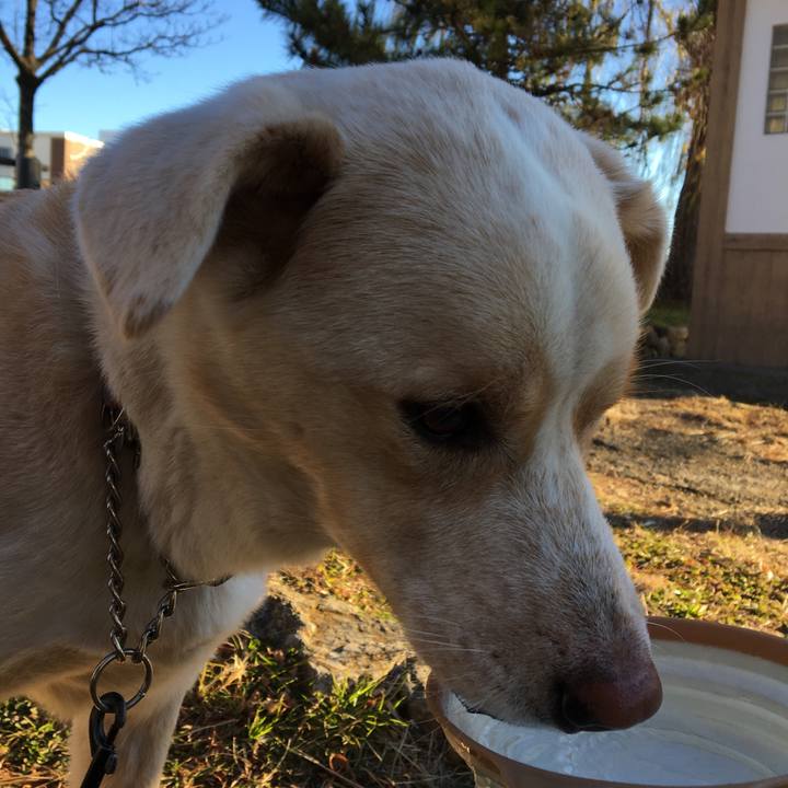 7ab65265 e089 4e31 86d6 27d9361178f5 1514852572789