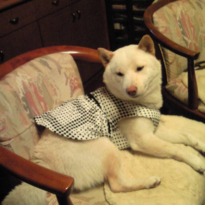 7ab65b24 ad66 4ea8 b6fd 8b154d80d94f 1656081948064