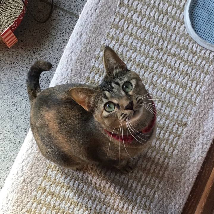 7ab65dfd 154a 4235 a138 842d3165e845 1603523656390