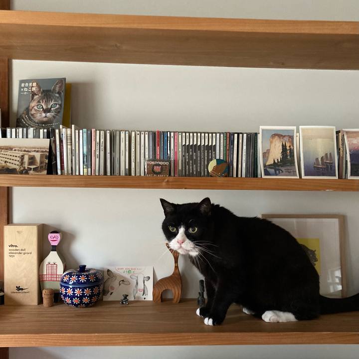 7ab6a11f d2ab 428b 86ff 09e8cf7bfdc5 1628378771392